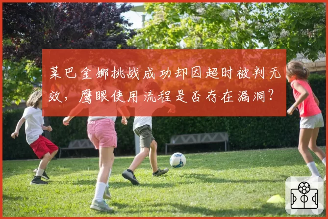 莱巴金娜挑战成功却因超时被判无效，鹰眼使用流程是否存在漏洞？