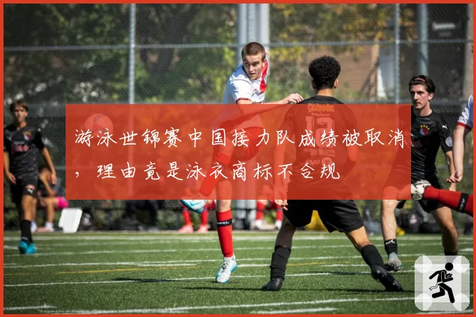 游泳世锦赛中国接力队成绩被取消,理由竟是泳衣商标不合规